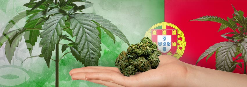 Cannabis-Vriendelijke Landen: Portugal